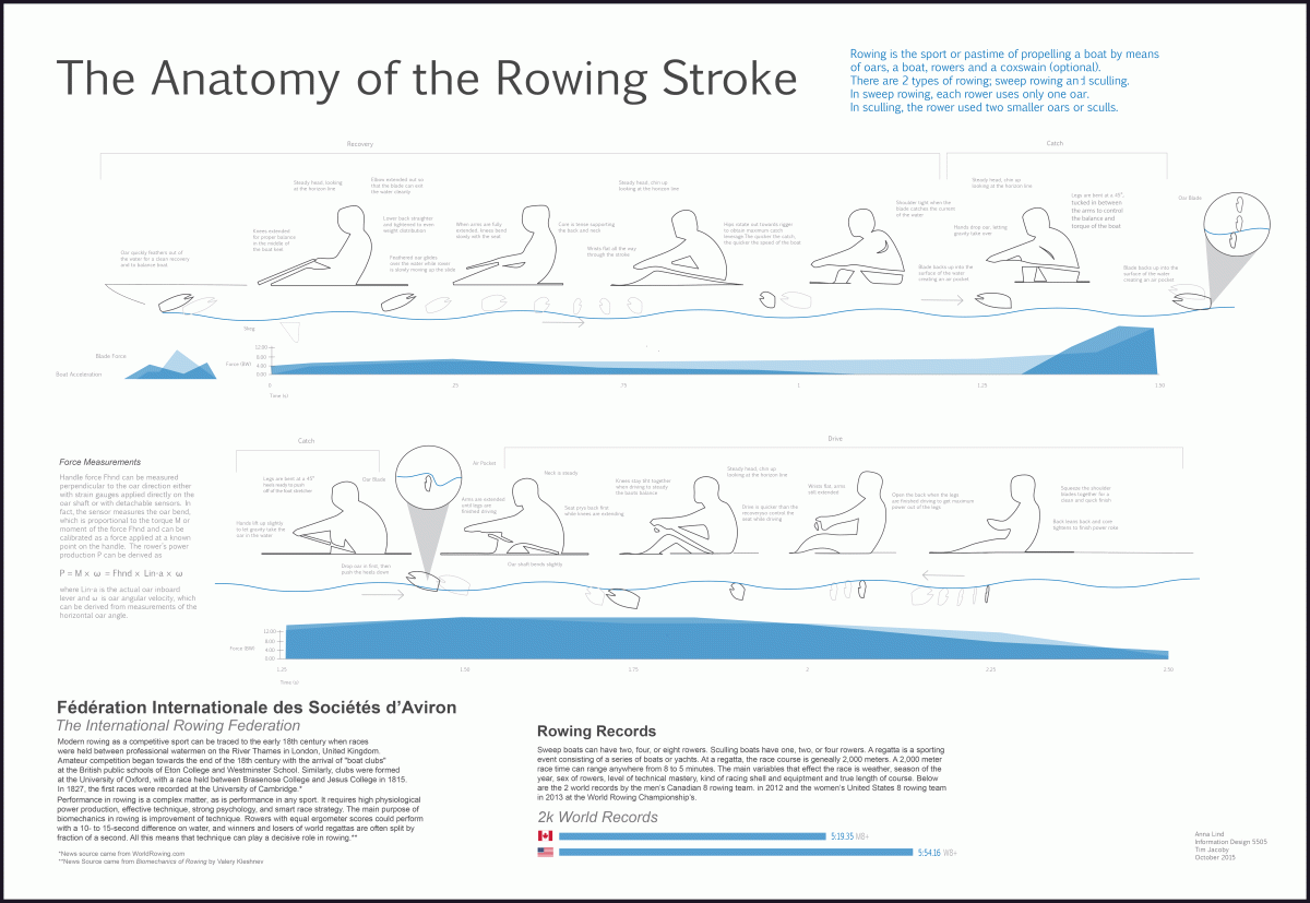 The Anatomy of the Rowing Stroke