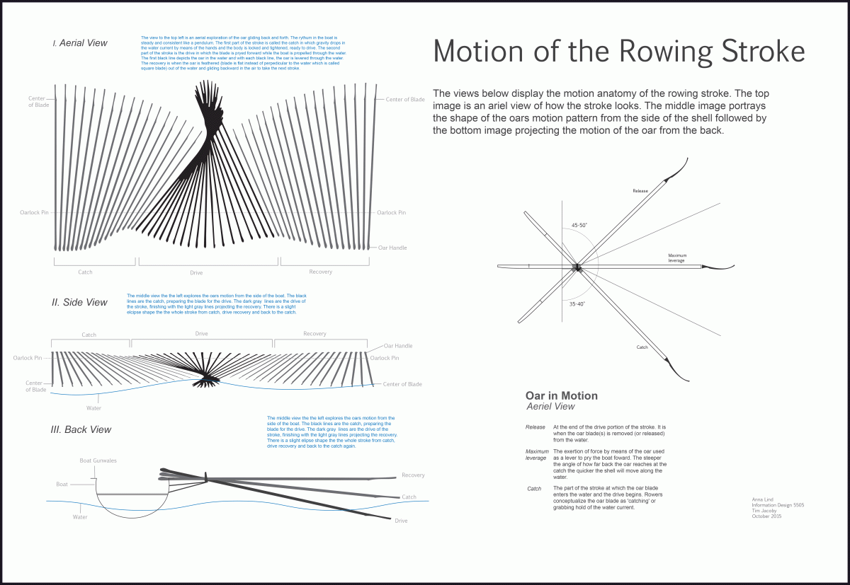 The Anatomy of the Rowing Stroke